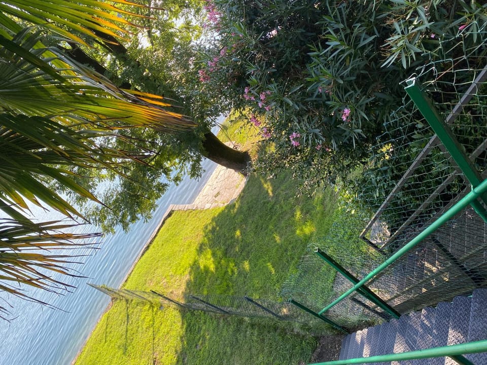 Beach, Lake view