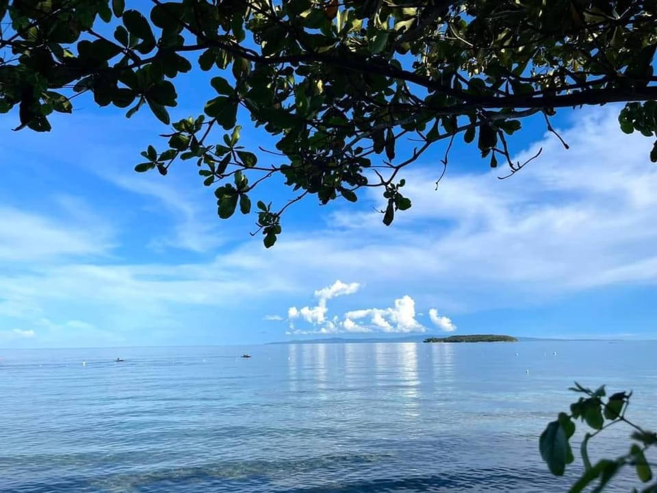 Island Front - Bangcogon Resort and Restaurant Bed and Breakfast in Oslob