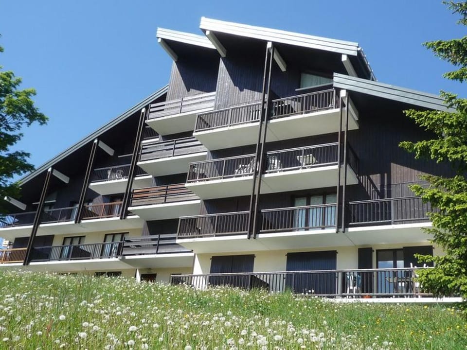 Les Saisies - Beau T2 pour 5 pers avec balcon sud - FR-1-293-120 Apartment in Haute-Savoie