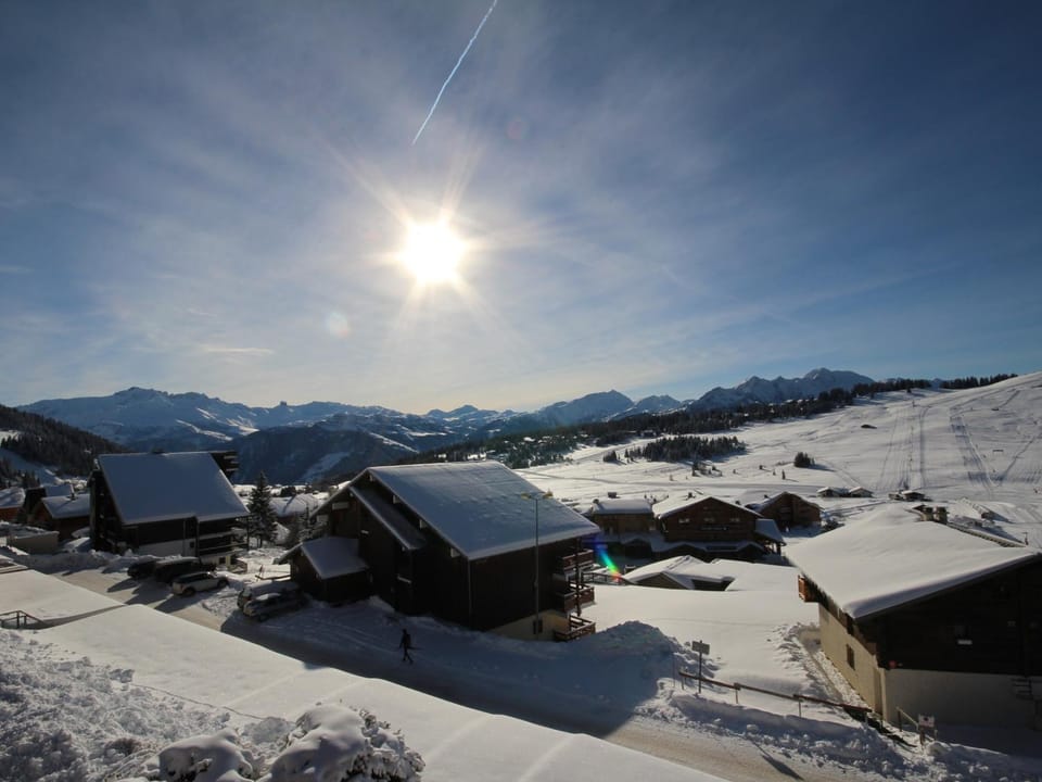 Studio cabine 4 pers, Les Saisies, animaux tolérés - FR-1-293-150 Cabin in Haute-Savoie