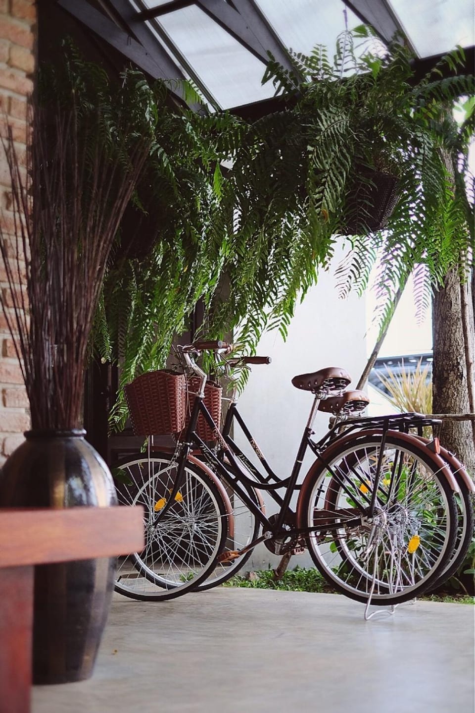 Lobby or reception, Cycling