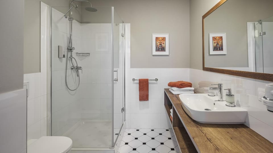 Shower, Toilet, Bathroom, towels