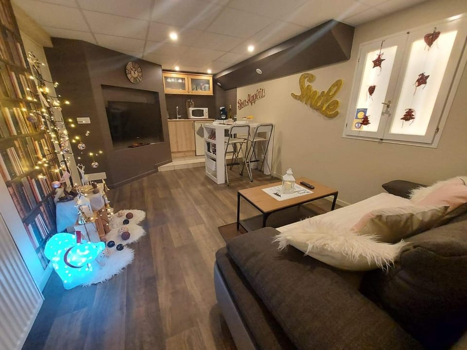 Résidence "Au Charron de Geis'pitz" en sous sol Apartment in Baden-Württemberg