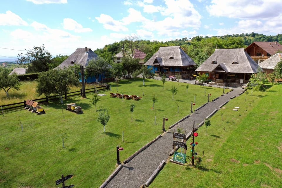 Bird's eye view, Garden, Garden