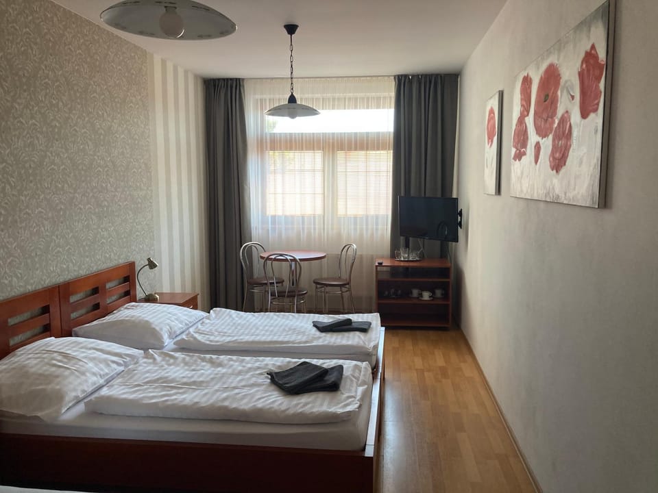 Penzion U Radnice Bed and Breakfast in South Moravian Region