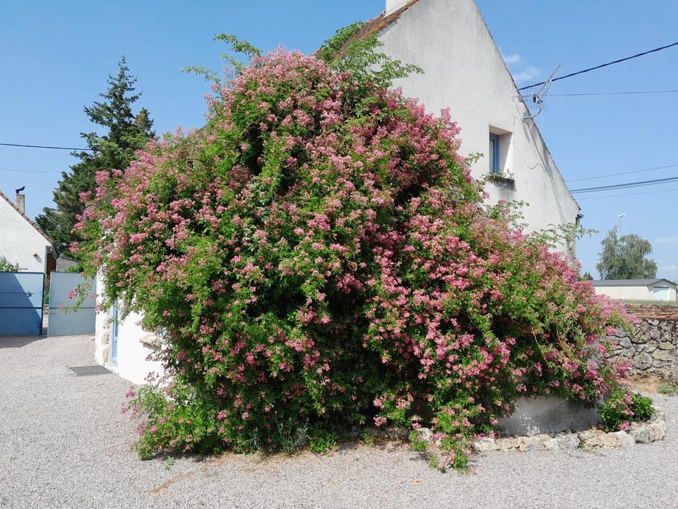 Gite de Marcureau House in Auvergne-Rhône-Alpes