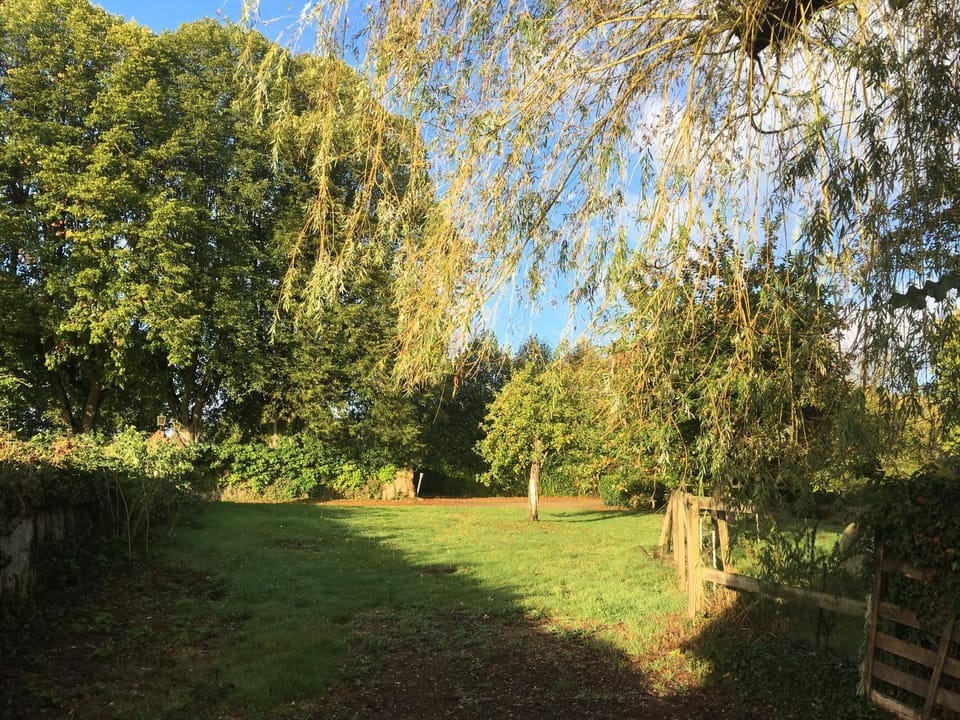 Garden view