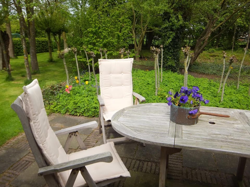 Garden, Balcony/Terrace