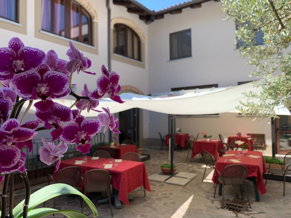 Patio, Restaurant/places to eat