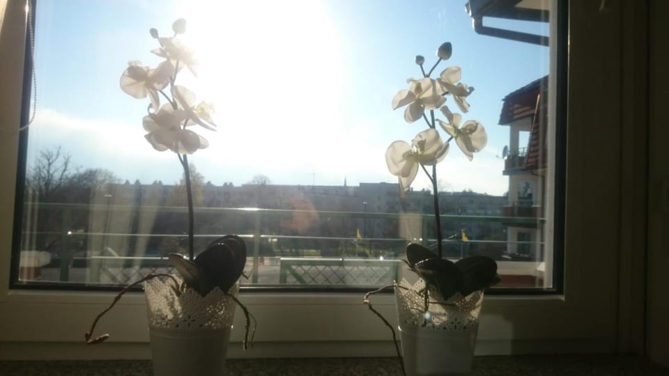 Balcony/Terrace, Bedroom, City view