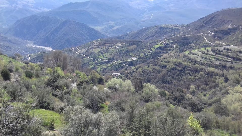 Garden view, Landmark view, Mountain view, River view