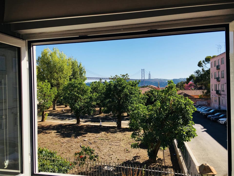 City view, Garden view