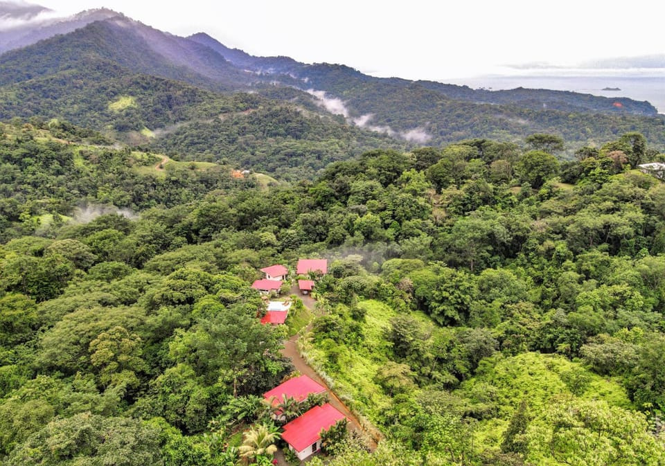 Property building, Bird's eye view, View (from property/room)