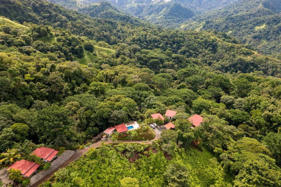 Property building, Bird's eye view, Garden, View (from property/room)