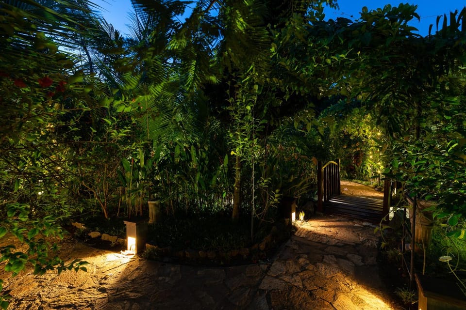 Night, Natural landscape, Garden, Garden view