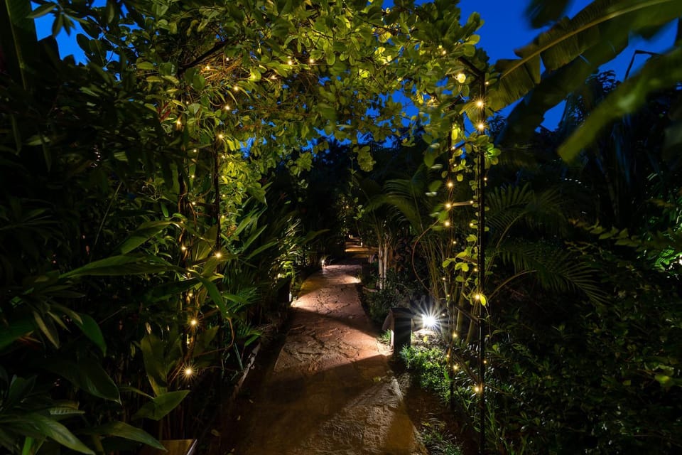 Night, Garden, Garden view
