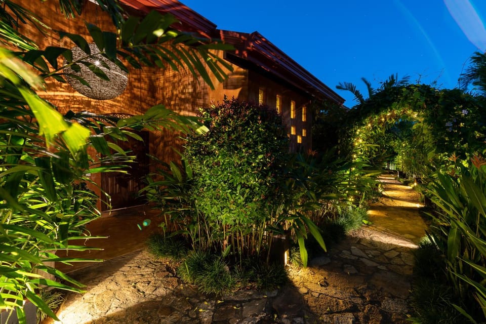 Night, Garden, Garden, Garden view