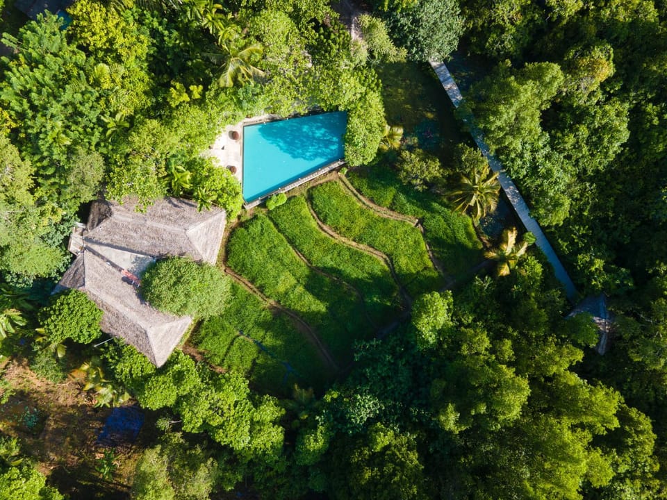 Day, Natural landscape, Bird's eye view, Garden view, Pool view, Swimming pool