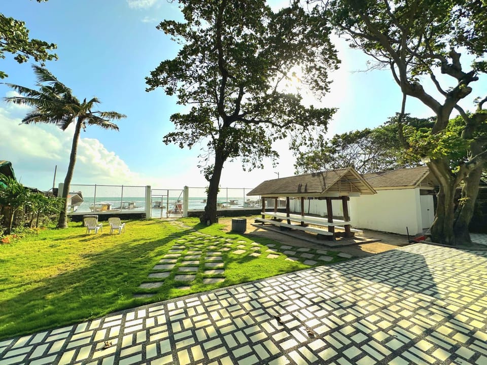 Day, Garden, Garden view