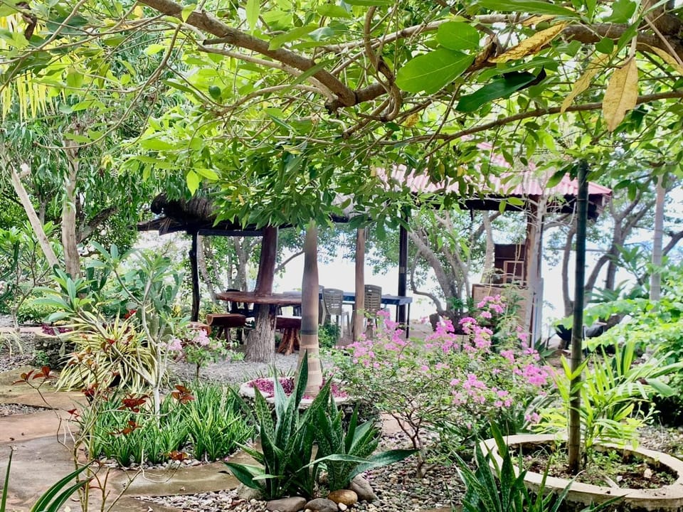 Adayo Cove Resort Resort in Siquijor