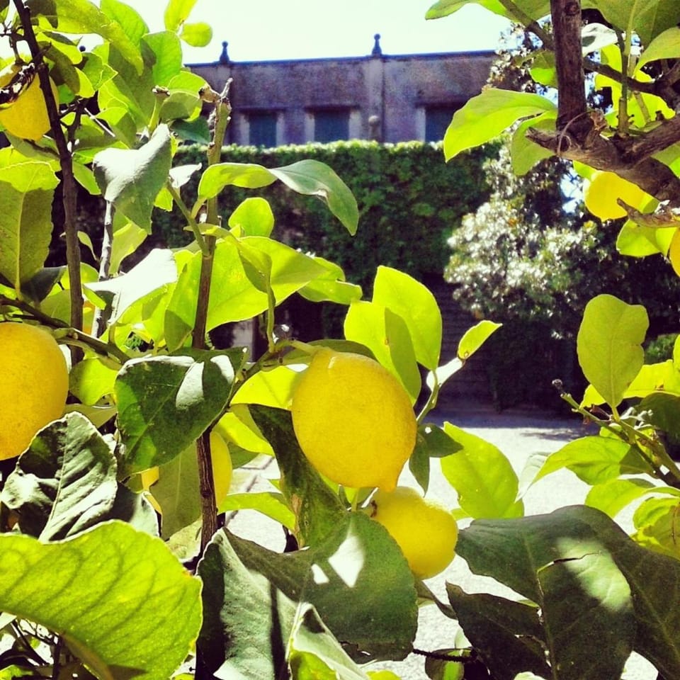 LA SERENELLA West Wing House in Veneto