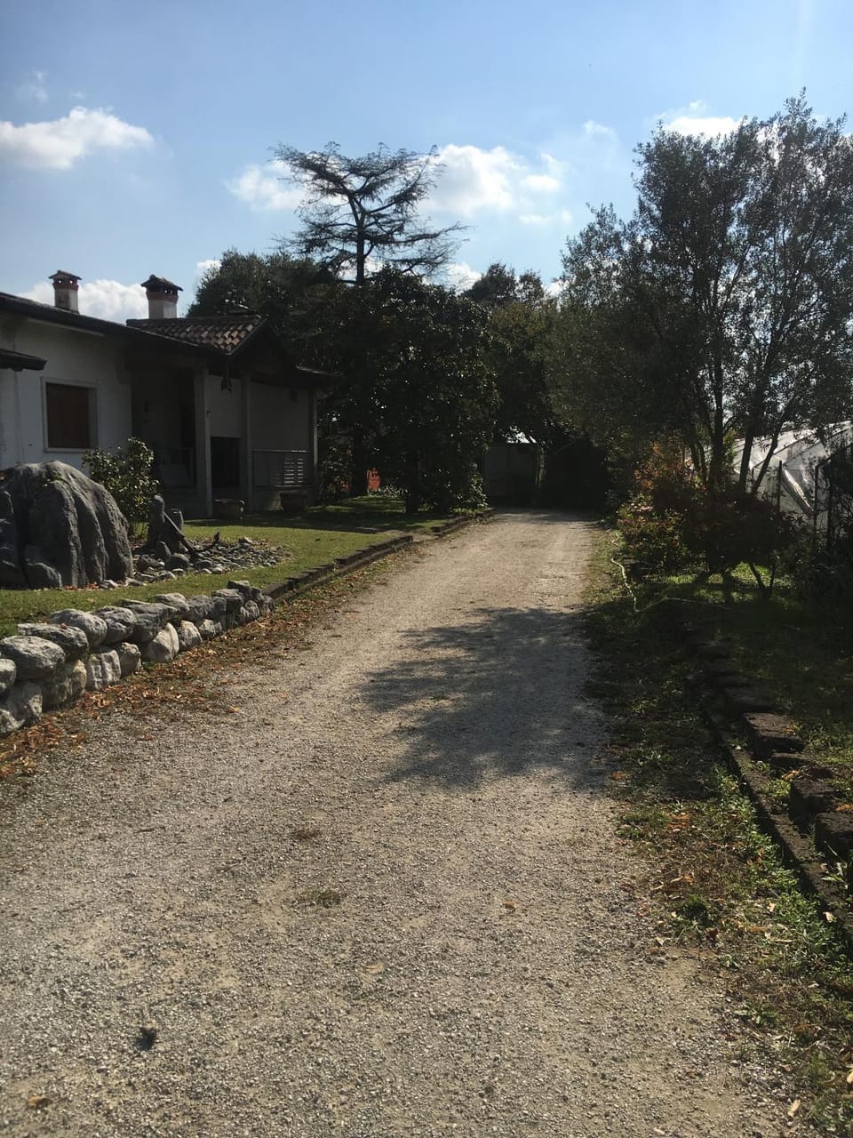 Garden, Garden view, Inner courtyard view