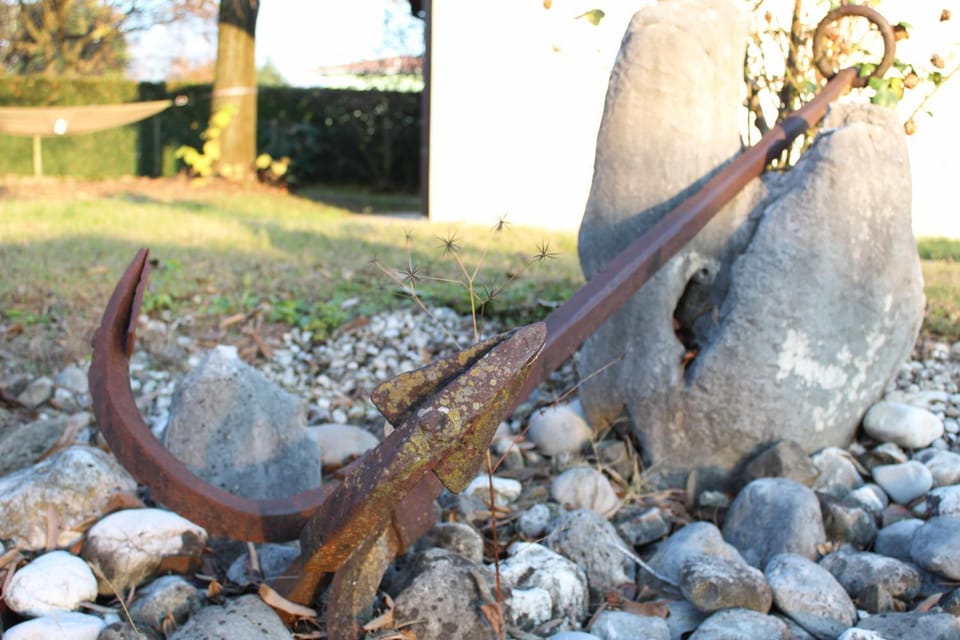 Winter, Garden, Garden, Garden view, Garden view