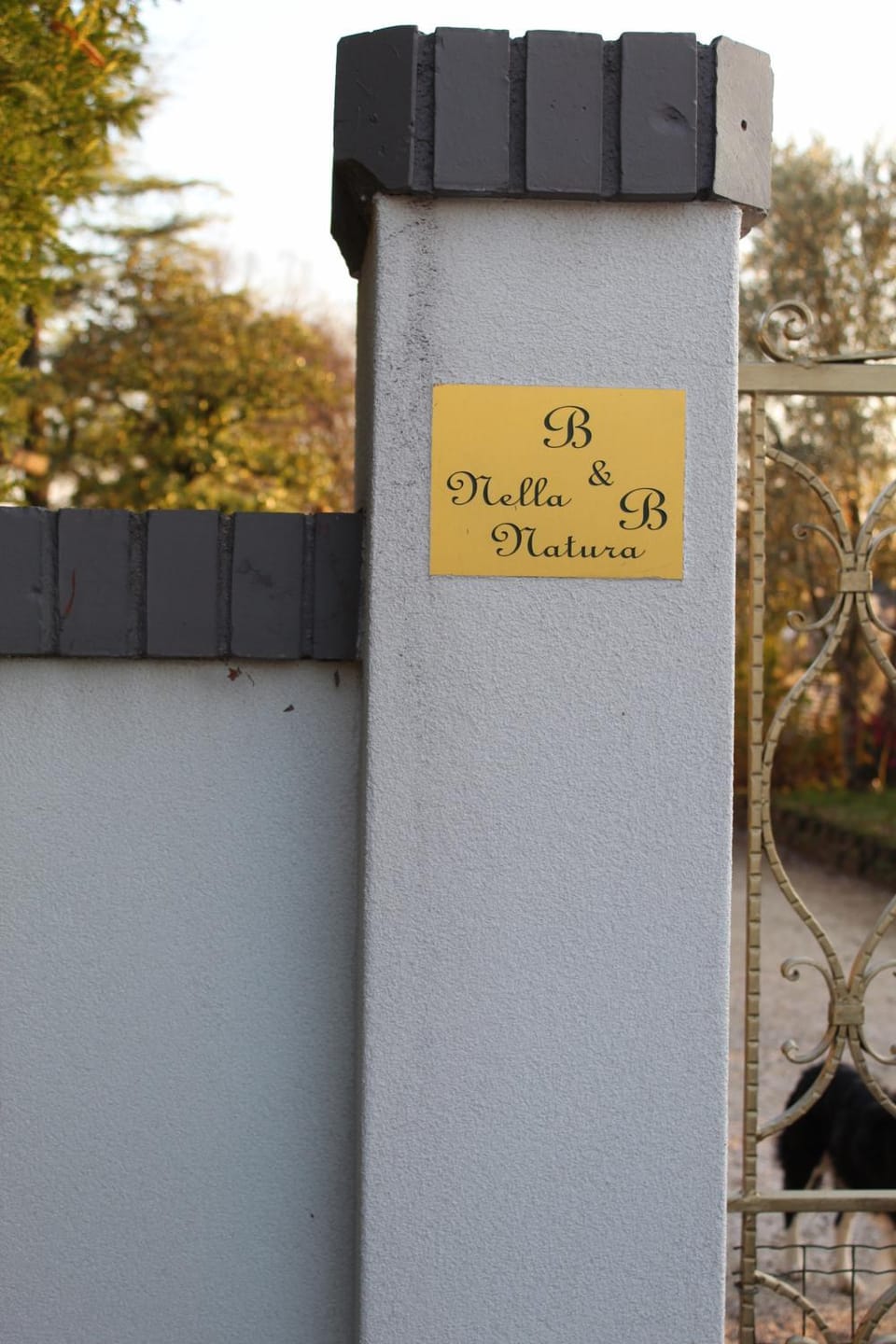 Facade/entrance, Property logo or sign, Street view