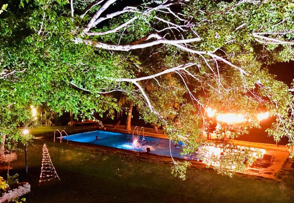 Night, Garden view, Swimming pool