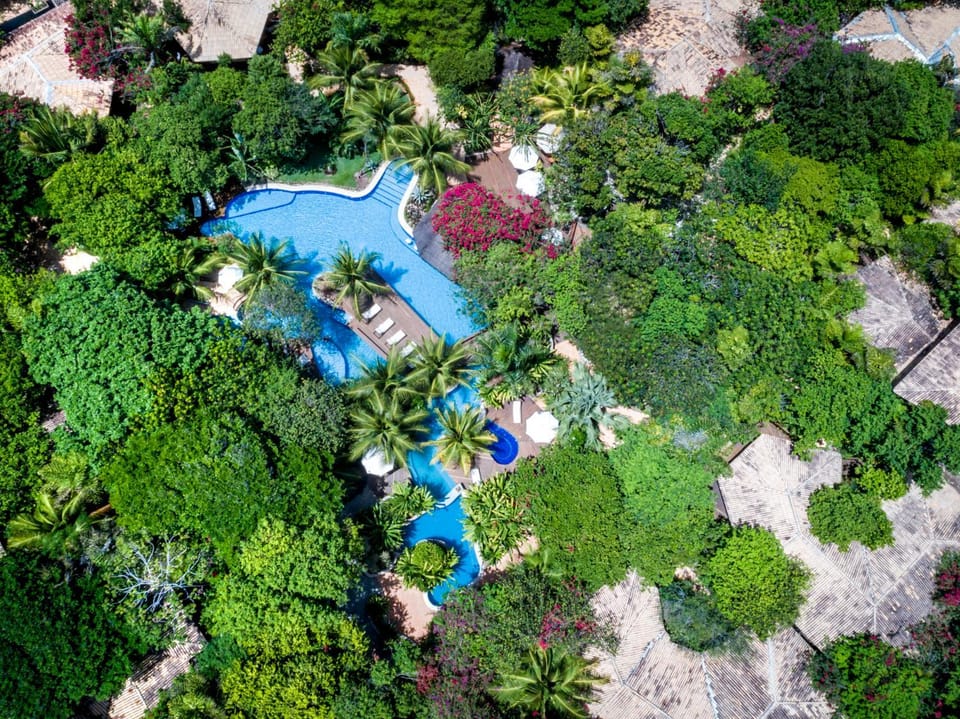 Bird's eye view, Garden view