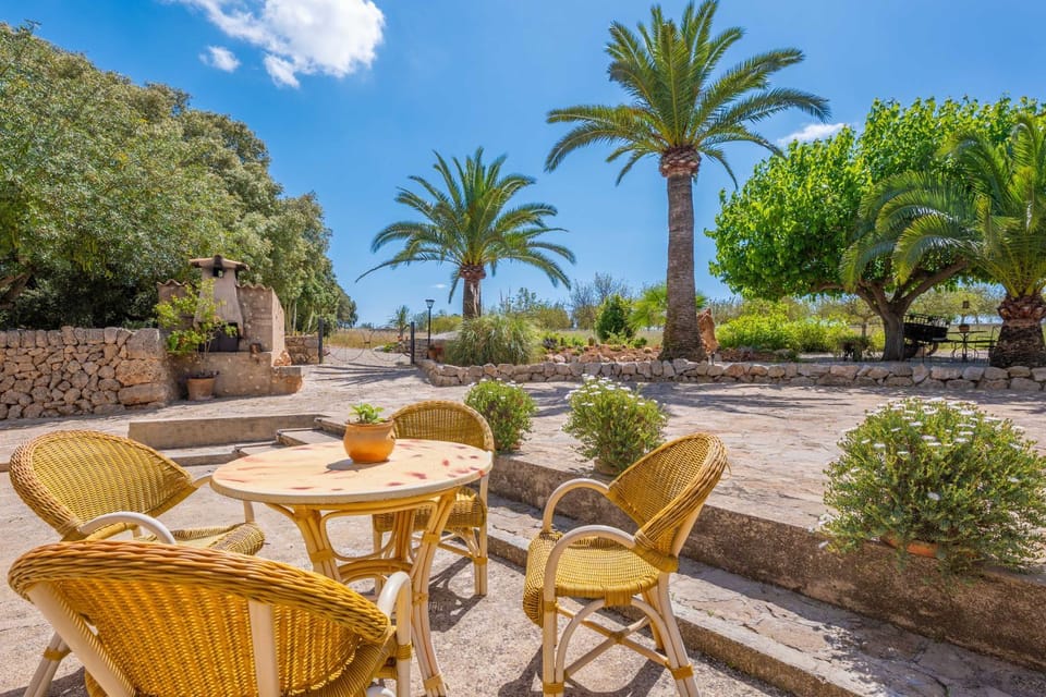 Patio, Garden view