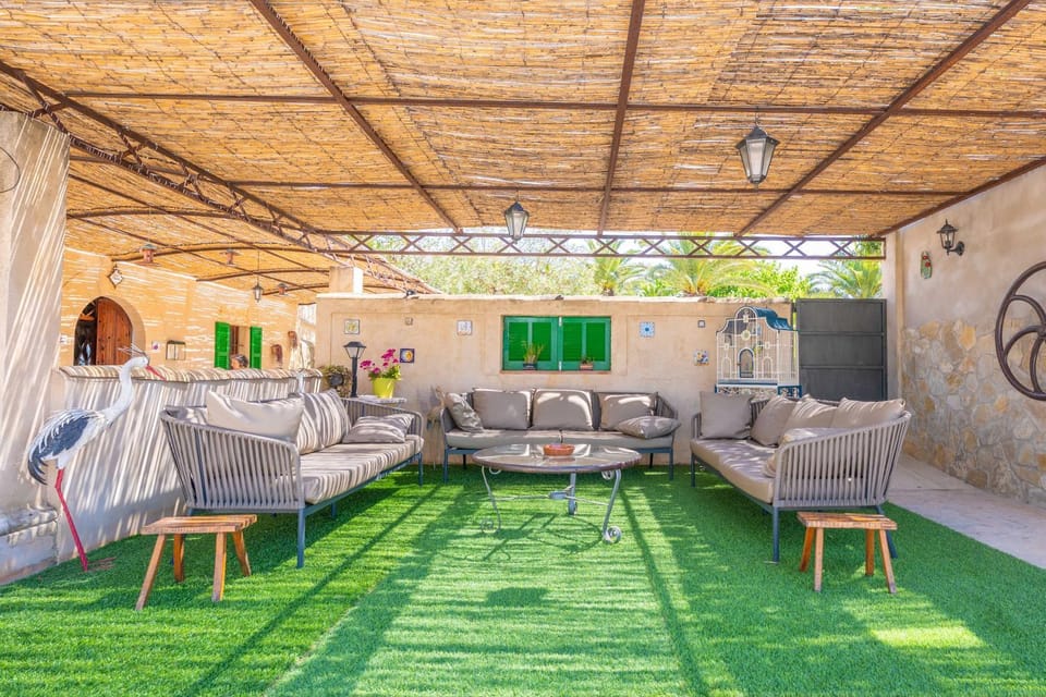 Patio, Garden view