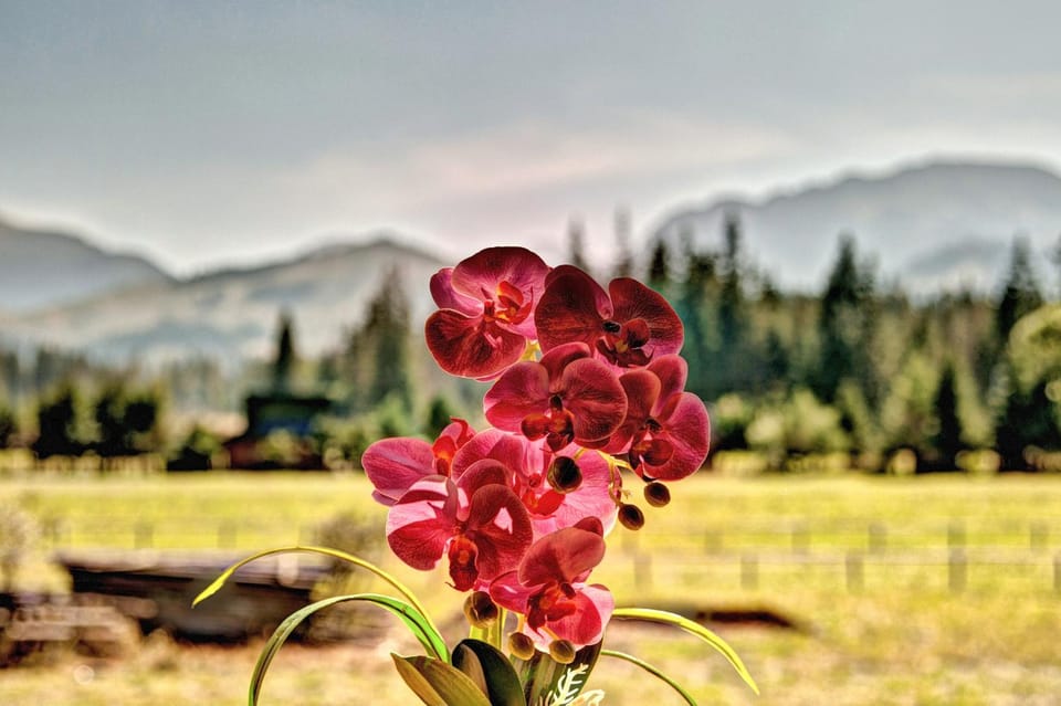 Natural landscape, Garden, Hiking, Mountain view