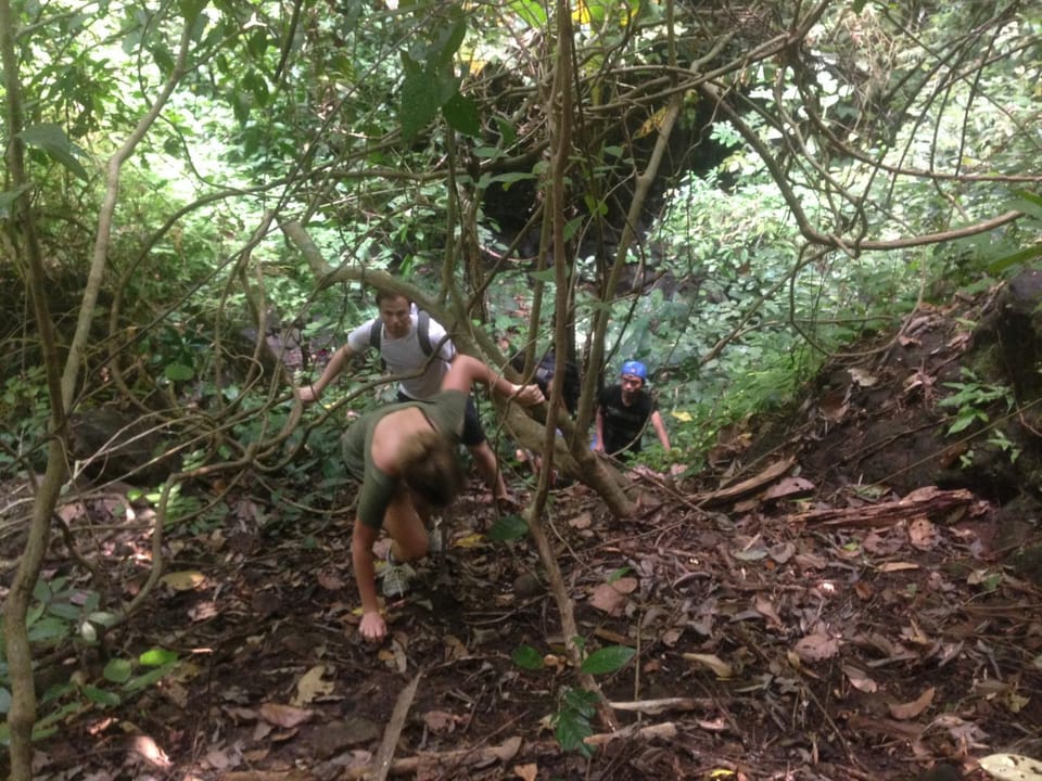 Hiking