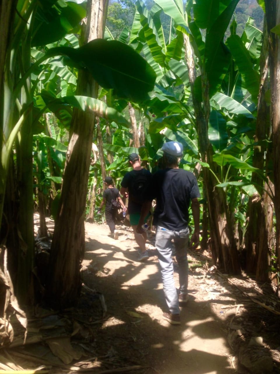 Natural landscape, Hiking, group of guests