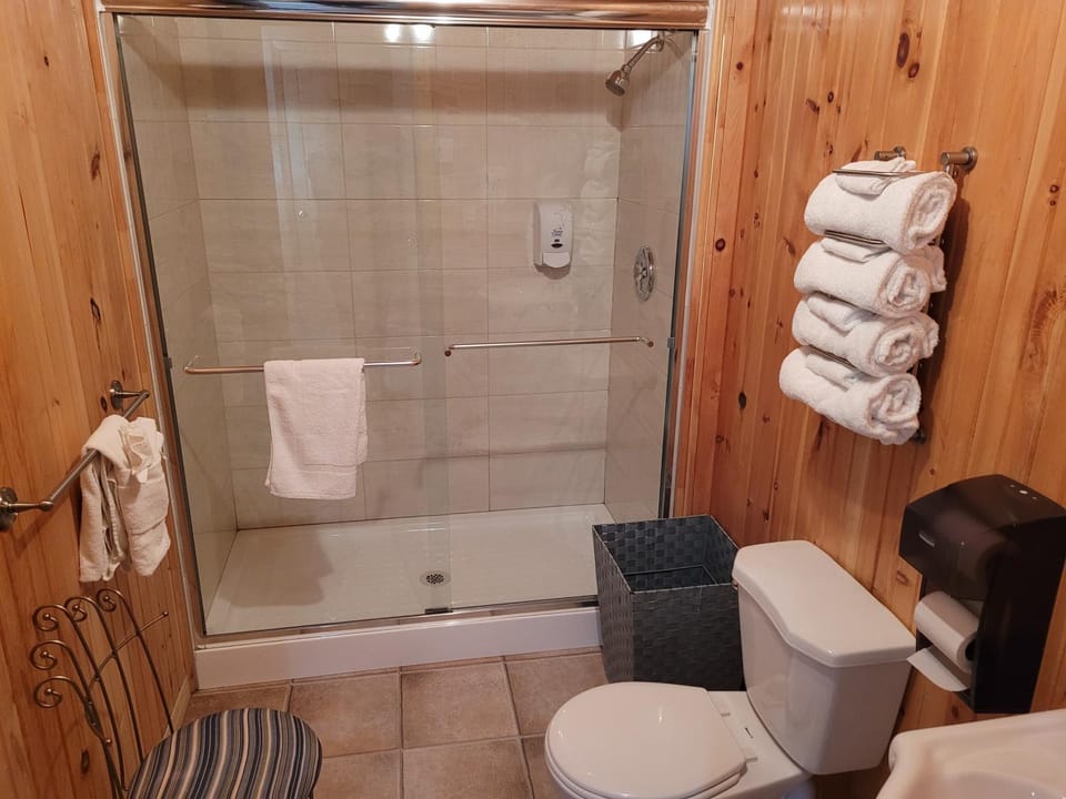 Shower, Toilet, Bathroom, towels