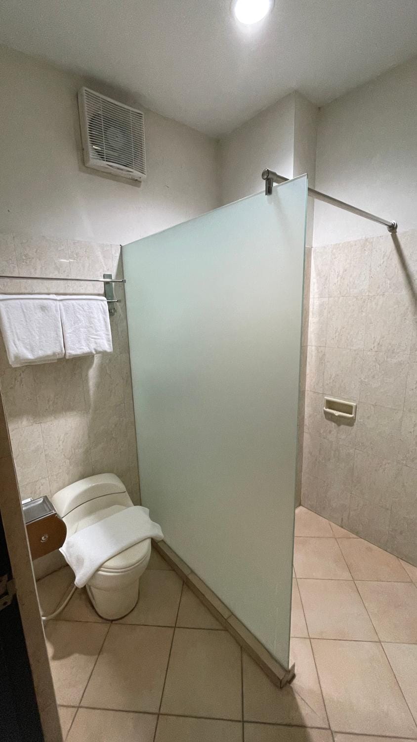 Shower, Toilet, Bathroom, towels