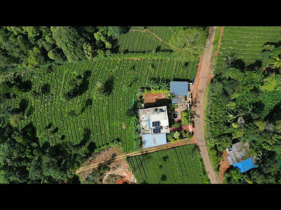Best Mist Vacation rental in Kerala