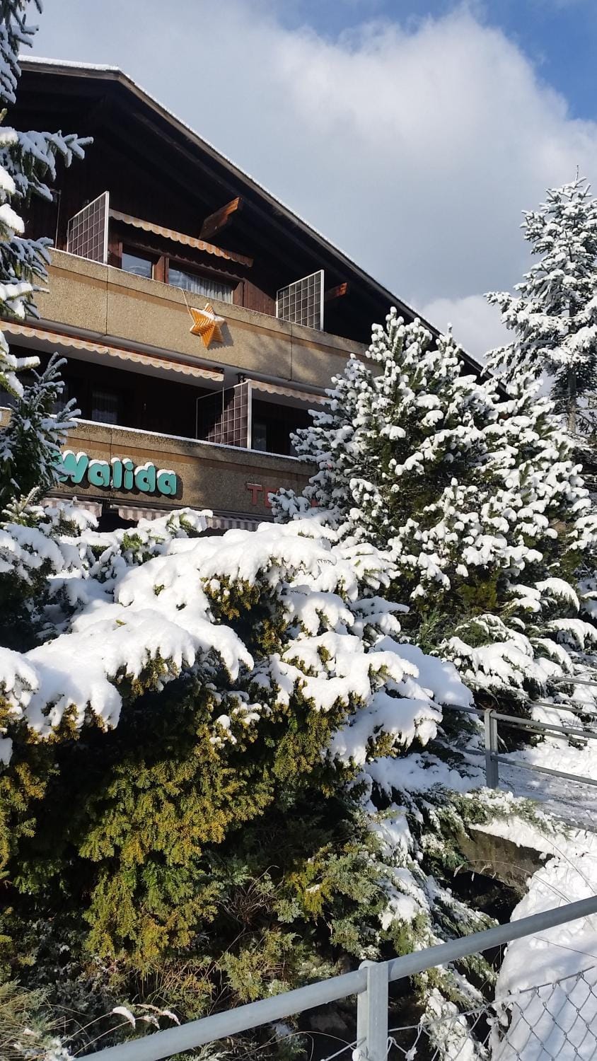 Hotel Walida Inn in Canton of Bern (Region)