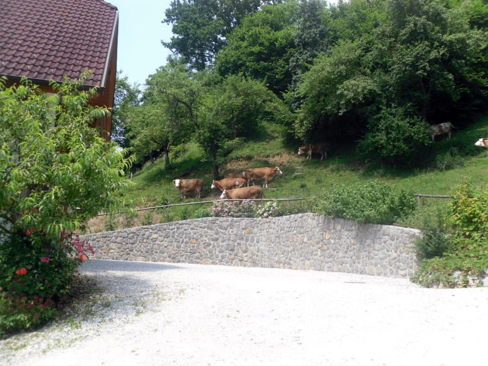 Garden, Area and facilities
