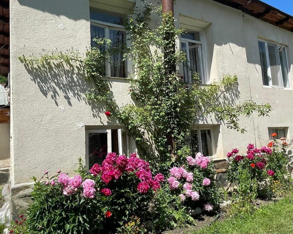 Jimsher Naveriani Guesthouse Bed and Breakfast in Georgia