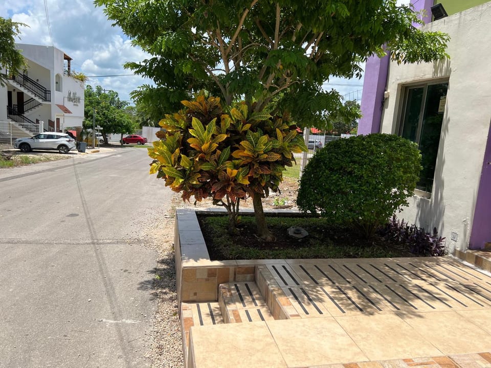 Facade/entrance, Street view