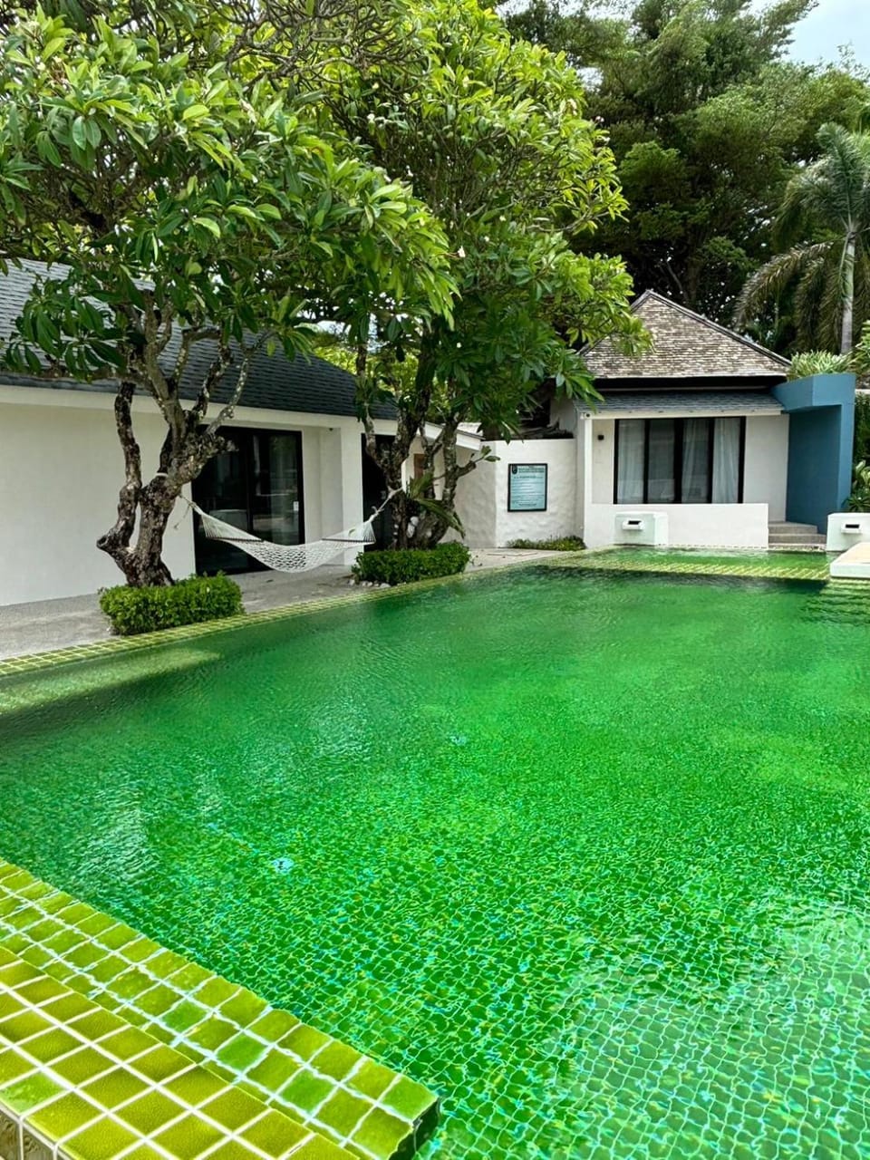 Swimming pool