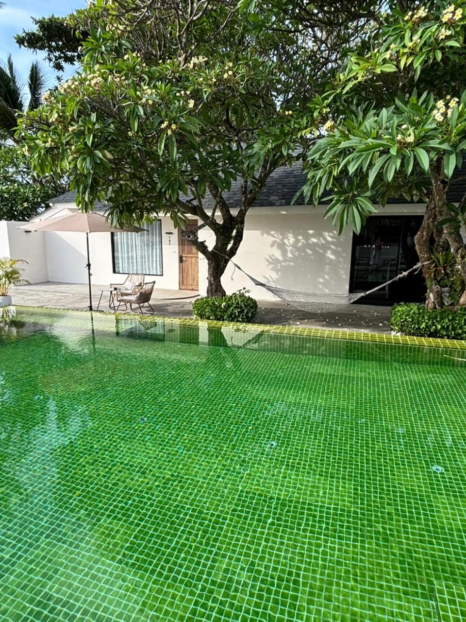 Balcony/Terrace, Pool view