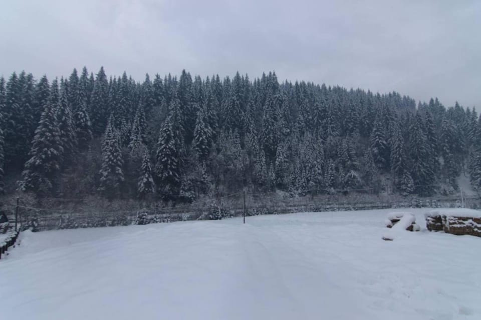 Winter, Mountain view