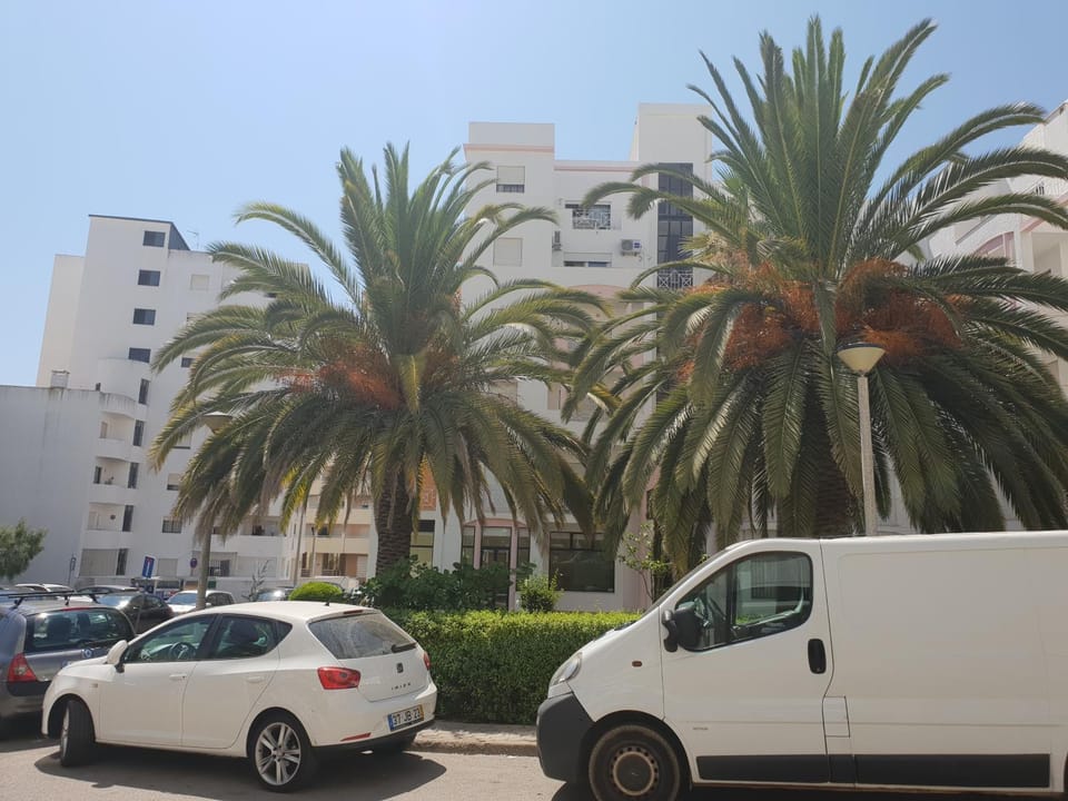 Off site, Garden view, Street view