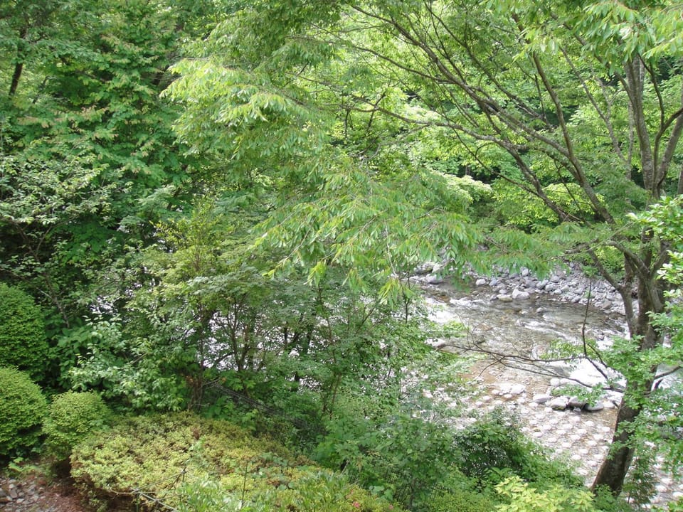 River view, Area and facilities