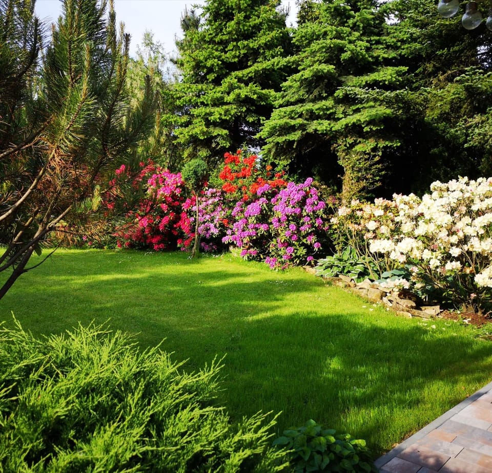 Activities, Garden, View (from property/room), Garden view, Entertainment