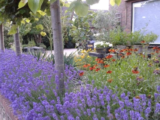 Bed and Breakfast de Verwennerij Bed and Breakfast in Ermelo