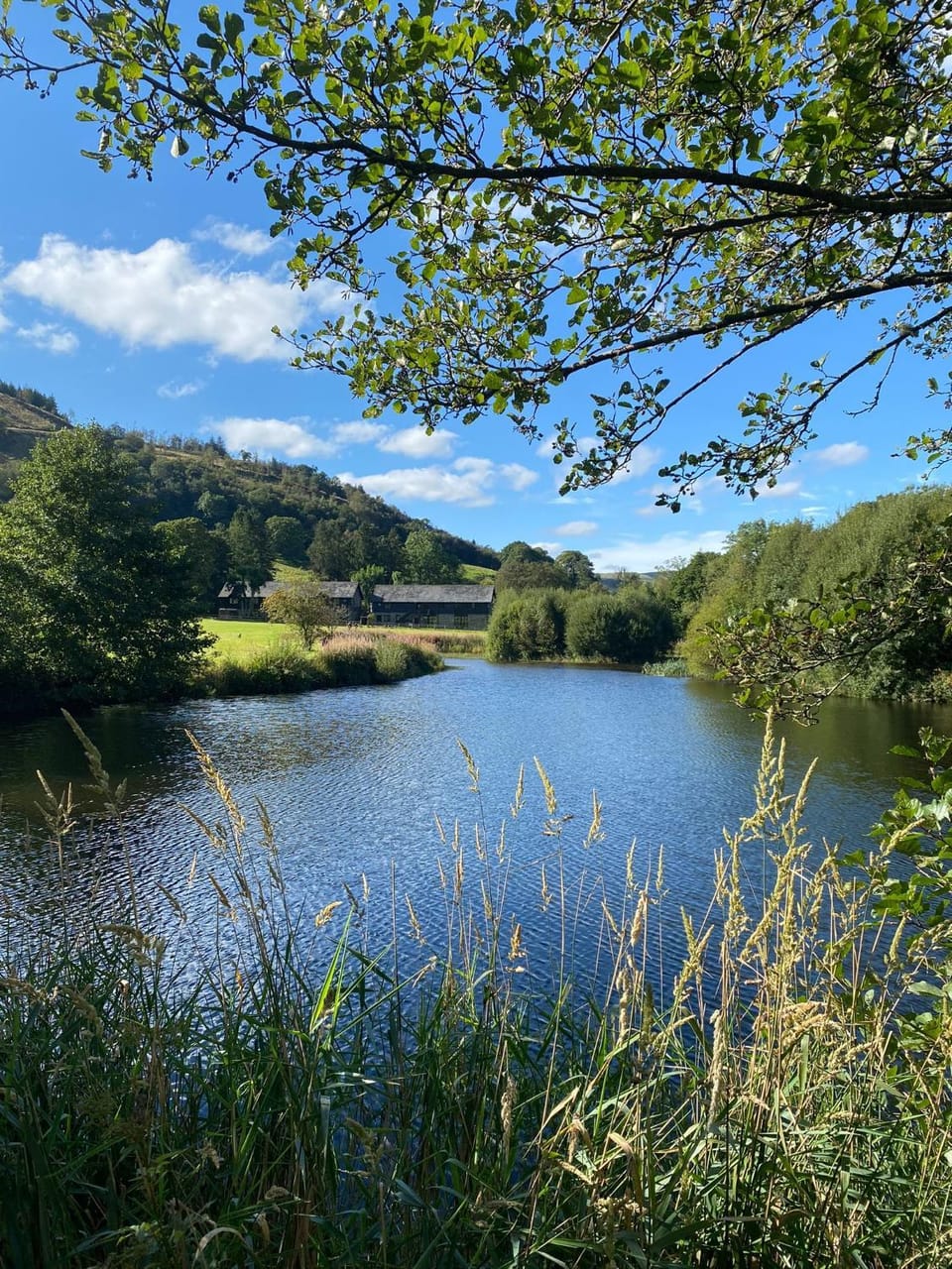 Natural landscape, Fishing, Lake view